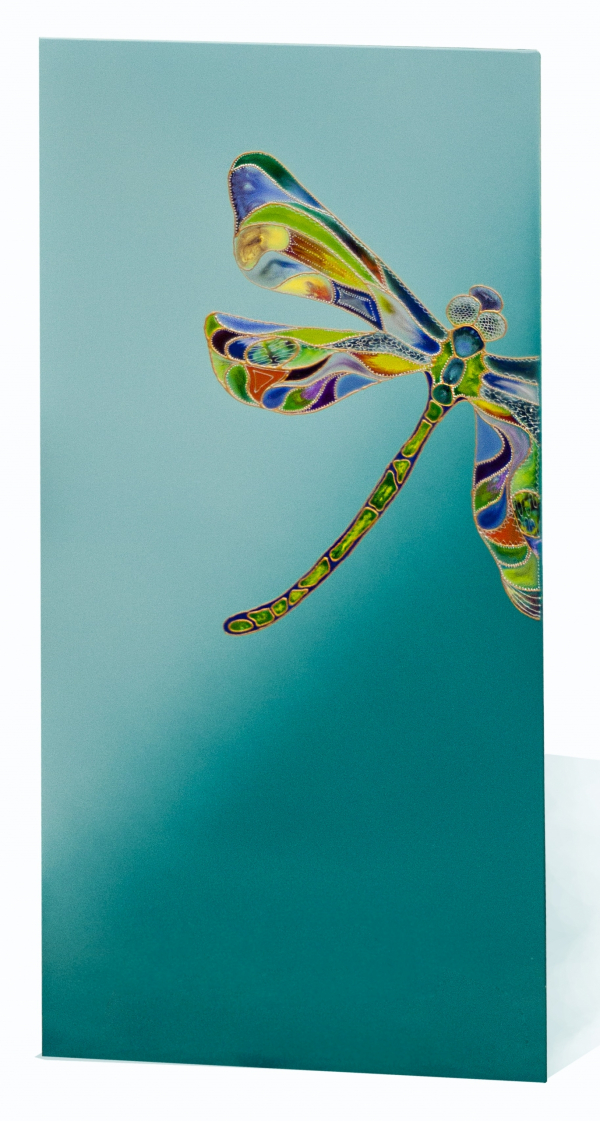 Dizajn - Brezteznost