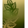 Dizajn - Fern