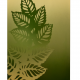 Dizajn - Fern